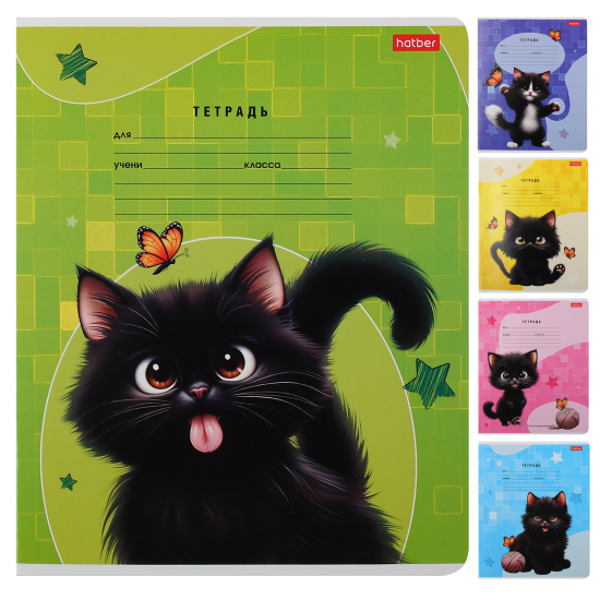 Тетрадь, 18 листов, линия, ассорти 5 видов, Hatber, Черный котик, 18Т5В2