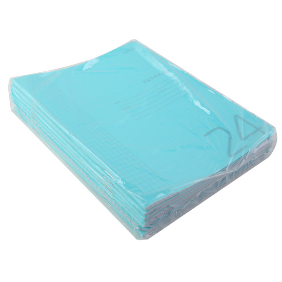 Тетрадь, 24 листа, клетка, пластик, Hatber, Голубая, Классика, 24Т5В1