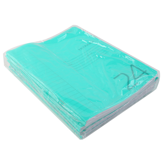 Тетрадь, 24 листа, линия, пластик, Hatber, Зеленая, Классика, 24Т5В2