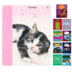 Тетрадь 24л кл Orange Toys - игрушки с портретом Т5ск24 3942 ассорти 4 вида