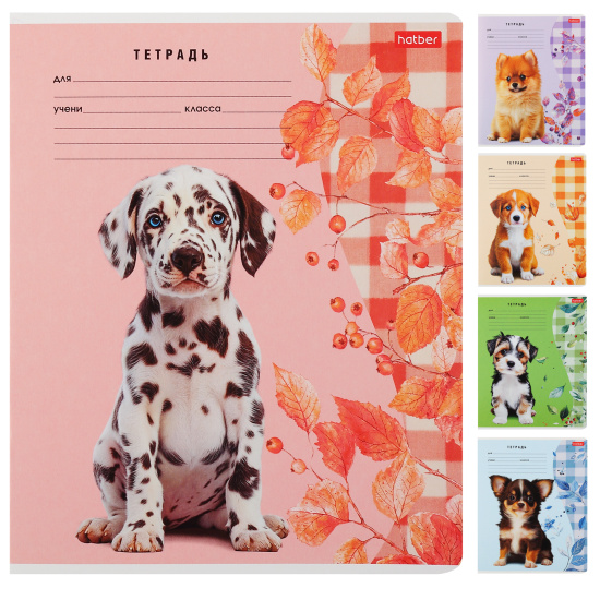 Тетрадь, 24 листа, линия, ассорти 5 видов, Hatber, Милые носики, 24Т5В2