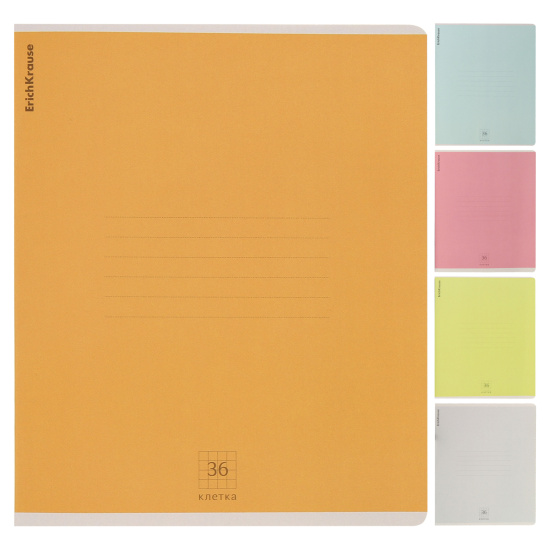 Тетрадь 36 листов, клетка, ассорти 5 видов Erich Krause Nature Colors MIX-PACK 60625