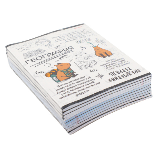 Тетрадь предметная комплект 10 шт, 48 листов Капибара Проф-Пресс 48-0012