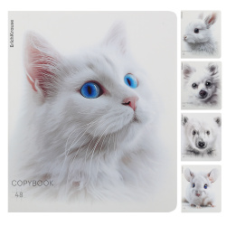 Тетрадь, А5, 48 листов, клетка, ассорти 5 видов, MIX-PACK, Erich Krause, Whiteout, 63313