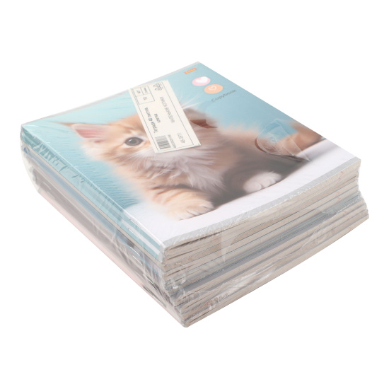 Тетрадь А5, 48 листов, клетка, поля, ассорти 5 видов Проф-Пресс Маленькие котики (вт блок) 48-3911