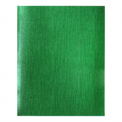 Тетрадь А5, 48 листов, клетка, поля Hatber Зеленая 48Т5бвВ1