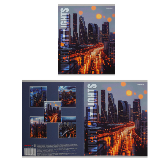 Тетрадь, А5, 48 листов, линия, поля, ассорти 5 видов, Проф-Пресс, Виды мегаполисов, 48-4300