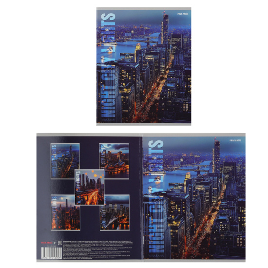 Тетрадь, А5, 48 листов, линия, поля, ассорти 5 видов, Проф-Пресс, Виды мегаполисов, 48-4300