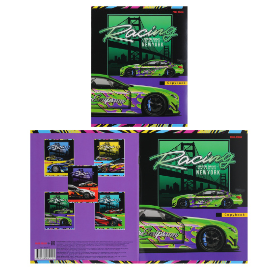 Тетрадь, А5, 48 листов, линия, поля, ассорти 5 видов, Проф-Пресс, Спорткар под мостом, 48-9015