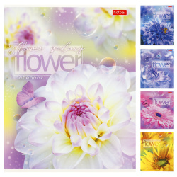 Тетрадь, А5, 96 листов, клетка, поля, ассорти 5 видов, Hatber, Цветочная галактика, 96Т5В1