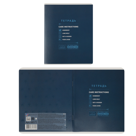 Тетрадь, А5, 96 листов, клетка, поля, ассорти 5 видов, Феникс, Профайл, 68571