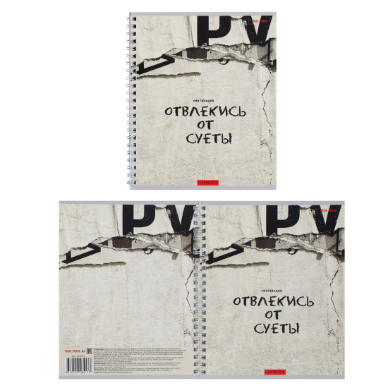 Тетрадь, А5, 48 листов, клетка, на спирали, ассорти 2 вида, Проф-Пресс, Мотивационный текст, 48-8415