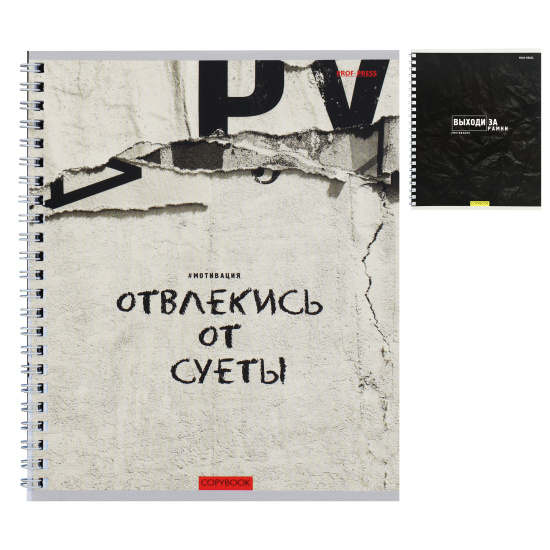 Тетрадь, А5, 48 листов, клетка, на спирали, ассорти 2 вида, Проф-Пресс, Мотивационный текст, 48-8415