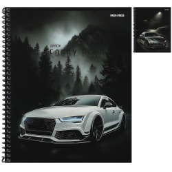 Тетрадь, А5, 48 листов, клетка, на спирали, ассорти 2 вида, Туманная дорога, Проф-Пресс, 48-8323