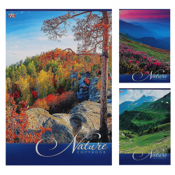 Тетрадь А4 80л Природа Nature 80Т4С3