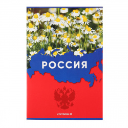 Тетрадь А4 80л Офис Наша Россия выб лак Т4ск80_вл 5274