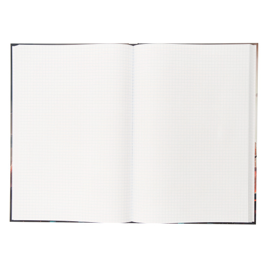 Книжка записная А4, 200 листов, клетка, сшитые листы Проф-Пресс Городская архитектура-1 200-6748