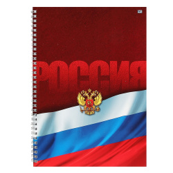 Тетрадь А4 96л дв спир Офис Россия Т4гр96 5591