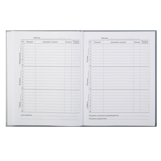 Дневник, 1-11 класс, для мальчиков, твердый картон 7Бц, гимн, Grey, КОКОС, 252528