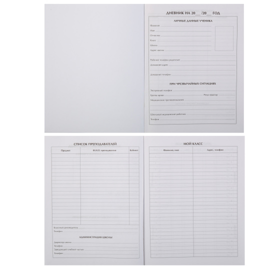 Дневник, 1-11 класс, для мальчиков, твердый картон 7Бц, гимн, Grey, КОКОС, 252528