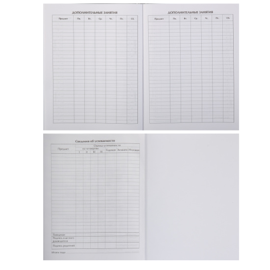 Дневник, 1-11 класс, для мальчиков, твердый картон 7Бц, гимн, Школьник, КОКОС, 252541