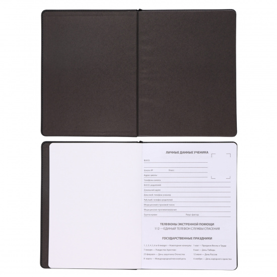 Дневник 1-11 класс, универсальный, интегральная, кожзам Monochrome КОКОС 230080