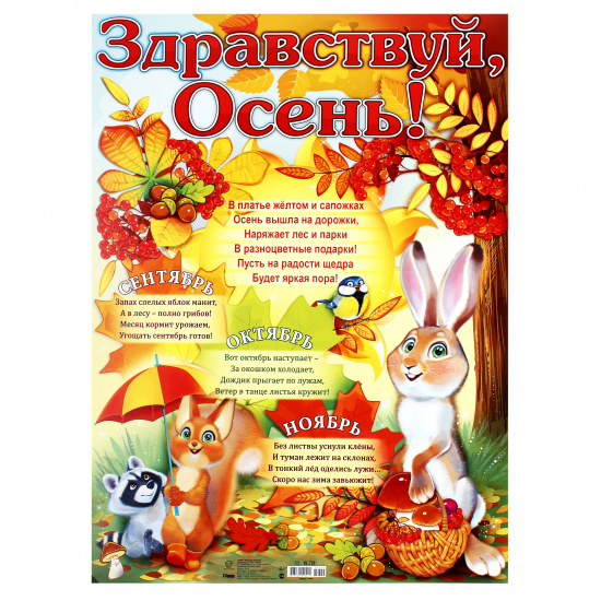 Плакат (картон)50х70 сады-магнитогорск.рф хочешь быть здоров