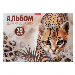 Альбом для рисования А4, 20 листов, склейка Erich Krause Wild Cat 49829