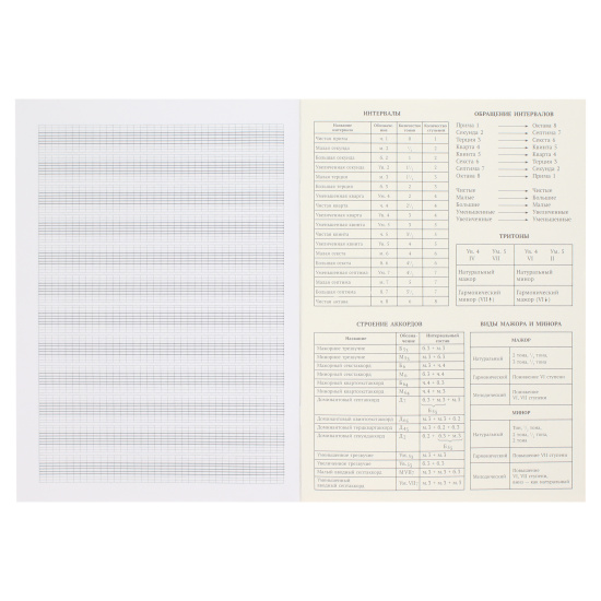 Тетрадь для нот Аниме скрипачка А4, 16 листов, вертикальная, на скобе Академия Холдинг 14660