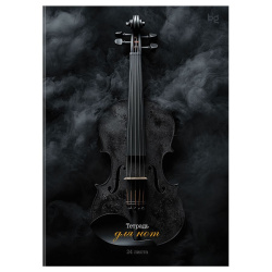 Тетрадь для нот А4 24л вертик БиДжи Антрацит ТН4ск24 57827