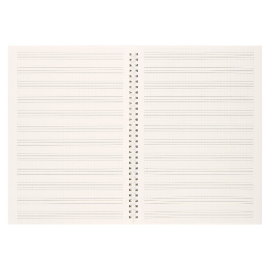 Тетрадь для нот Звукозапись А4, 32 листа, вертикальная, на спирали Феникс 60334