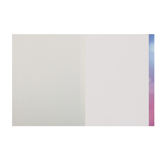 Набор белого картона А4, 8 листов, мелованный, в папке Девушка с барсом Феникс 64765