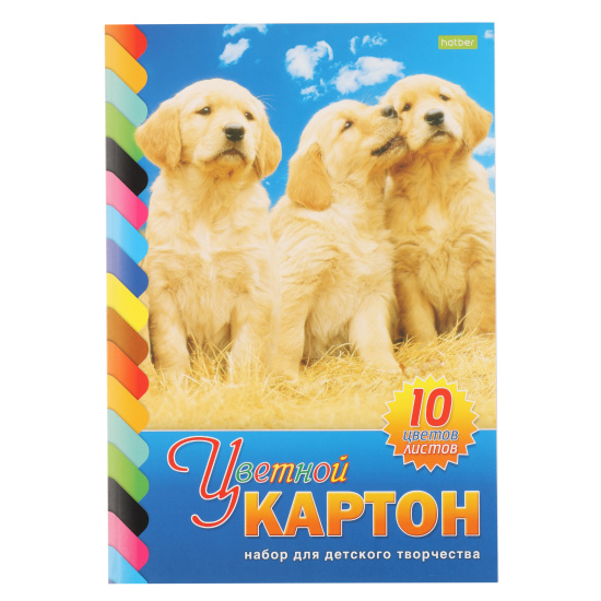 Набор цветного картона Три щенка А4, 10 листов, 10 цветов, мелованный, склейка Hatber 10Кц4к_01021