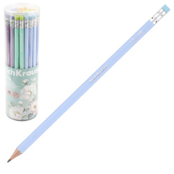 Карандаш НВ деревянный трехгранный заточенный с ластиком Erich Krause Pastel Bloom 60722 ассорти 4 вида