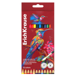 Карандаши цветные акварельные 12 цветов, дерево, шестигранный, картонная коробка Safari Erich Krause 61817