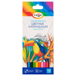 Карандаши цветные, 12 цветов, дерево, шестигранный, Классические, Гамма, CP12_112025