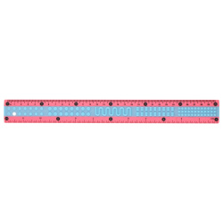 Линейка канцелярская, 30 см, пластик, для левшей и правшей, цвет голубой/розовый, европодвес Лего КОКОС 240713
