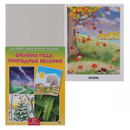 Пособие времена года. Наглядно дидактическое пособие времена года. Наглядно дидактическое пособие времена года природные явления. Наглядно дидактическое пособие времена года карточки. Наглядно дидактическое пособие явления природы.