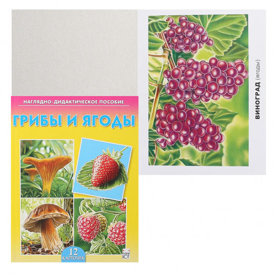 Развивающие карточки картон Грибы и ягоды Рыжий кот ПД-7215