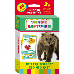 Развивающие карточки 88*125мм, картон мелованный, 36шт, картонная коробка, европодвес Кто где живет, кто что ест? РОСМЭН 21006