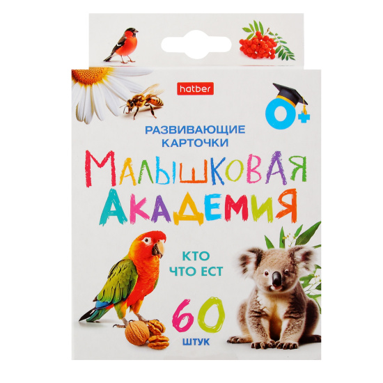 Развивающие карточки, 90*100 мм, картон мелованный, 60 шт, картонная коробка, европодвес, Кто что ест, Малышковая Академия, Hatber, НП_32978