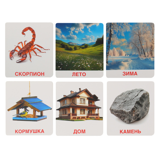 Развивающие карточки, 90*100 мм, картон мелованный, 60 шт, картонная коробка, европодвес, Окружающий мир, Малышковая Академия, Hatber, НП_32982