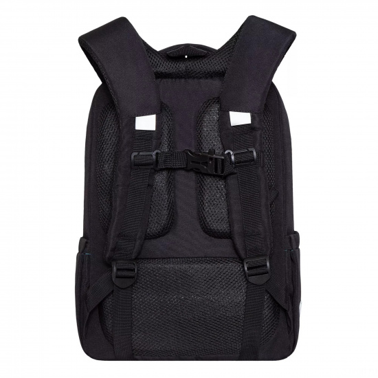 Рюкзак спинка эргономичная, 2 отделения, 26*38*14 см, черный Grizzly RG-366-2