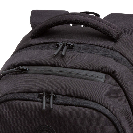 Рюкзак спинка эргономичная, 44*30*18 см, 2 отделения, черный Grizzly RU-430-3