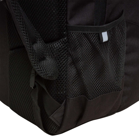 Рюкзак спинка эргономичная, 44*30*18 см, 2 отделения, черный Grizzly RU-430-3