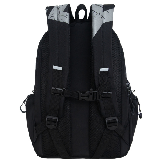 Рюкзак спинка эргономичная, 42*30*20 см, 2 отделения, черный Grizzly RU-433-1