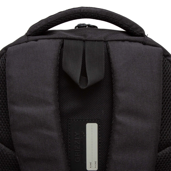Рюкзак спинка эргономичная, 47*32*17 см, 2 отделения, черный Grizzly RU-436-1