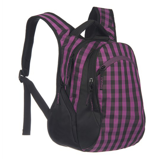 Рюкзак полиэстер, спинка эргономичная, 2 отделения, 280*350*180мм, черный/фиолетовый Grizzly RD-640-1