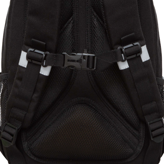 Рюкзак спинка эргономичная, 2 отделения, 38*26*18 см, с брелоком, черный Grizzly RG-460-2