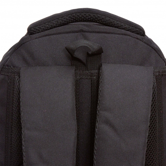 Рюкзак спинка эргономичная, 2 отделения, 38*27*18 см, с брелоком, черный Grizzly RG-360-2